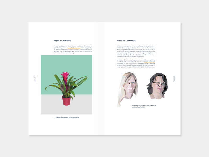 Illustrationen auf einer Magazin-Doppelseite: Pflanze und Polygon-Gesichter